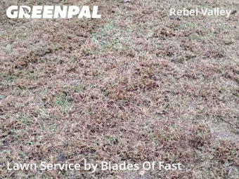 Lawn Mow nearby Atlanta, GA, 