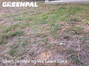 Lawn Mow nearby Schertz, TX, 