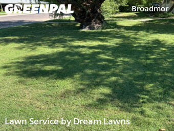 Property Maintenance in Tempe, 85282, Backyard Mowing by Dream Lawns, work completed in Oct , 2025