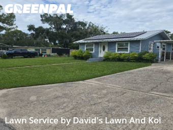 Yard Care Services in Eustis, 32726, Yard Services by David's Lawn And Koi, work completed in Oct , 2025