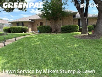 Landscaping Maintenance In Plano,75075,Landscaping by Mike’s Stump & Lawn, work completed in Jun , 2026
