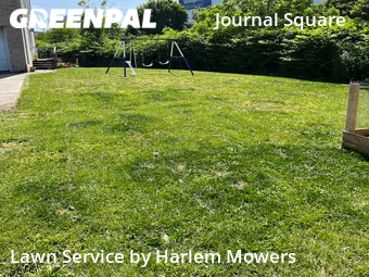Lawn Care Service nearby Jersey City, NY, 