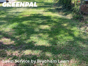 Yard Cutting nearby Prairieville, LA, 