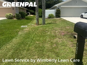 Lawn mowed in Punta Gorda, 33983
