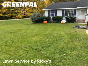 Lawn Cutting nearby Dorr, MI, 