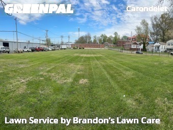 Lawn Care Service nearby St. Louis, MO, 
