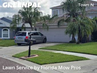 Grass Cut nearby Tampa, FL, 