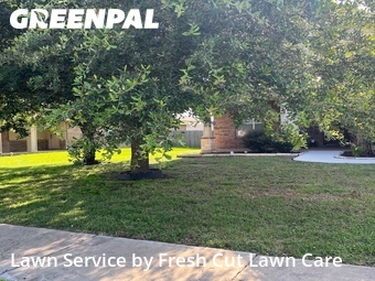 Grass Cutting nearby Pflugerville, TX, 