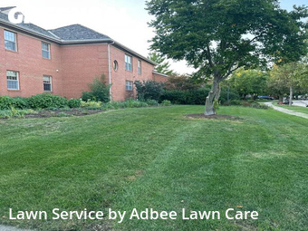 Grass Cut nearby Champaign, IL, 