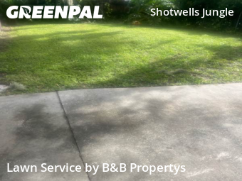 Yard Cutting nearby Daytona Beach, FL, 