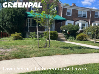 Grass Cut nearby Baltimore, MD, 