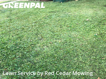 Grass Cut nearby Lansing, MI, 