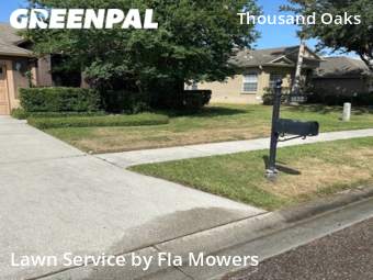 Lawn Cut nearby Trinity, FL, 