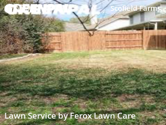 Lawn Mowing nearby Austin, TX, 
