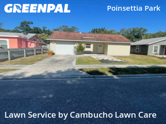 Lawn Mow nearby Sarasota, FL, 
