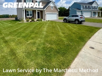 Grass Cutting nearby North Aurora, IL, 