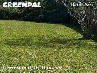 Lawn Mowing Service nearby St. Petersburg, FL, 