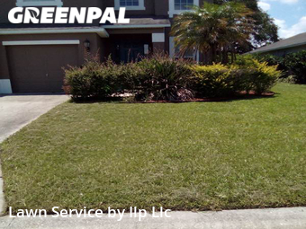 Lawn Cut nearby Lakeland, FL, 