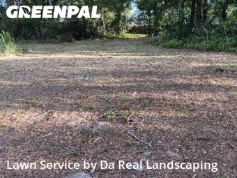 Yard Mowing nearby Land O'lakes, FL, 