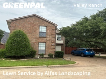 Grass Cut nearby Irving, TX, 