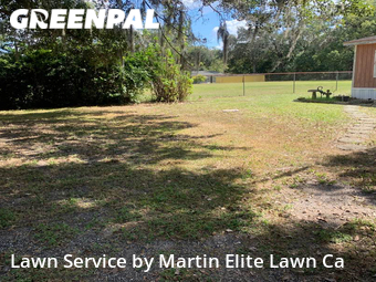 Lawn Care nearby Zephyrhills, FL, 