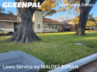Affordable Landscaping Maintenance Services In Dallas,75231,Landscaping Maintenance by MALDEZ RONAN, work completed in Dec , 2025