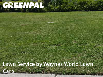 Yard Cutting nearby Largo, FL, 