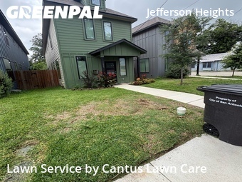 Yard Cutting nearby San Antonio, TX, 