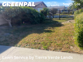 Yard Cutting nearby Los Angeles, CA, 