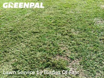 Grass Cutting nearby College Park, GA, 