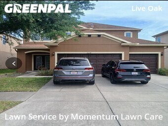 Lawn Maintenance nearby Tampa, FL, 