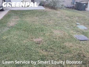 Lawn Maintenance in Georgetown, 78626, Lawn Care by Smart Equity Booster, work completed in Nov , 2025