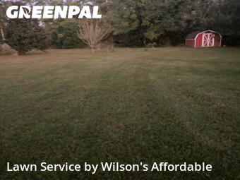 Lawn Work in Valdosta, 31605, Lawn Upkeep by Wilson's Affordable , work completed in Nov , 2025