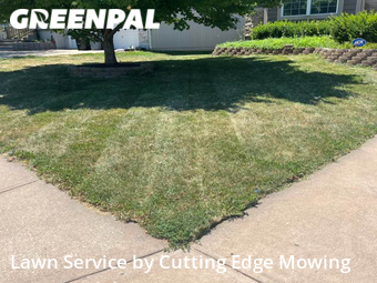 Lawn Mow nearby Independence, MO, 