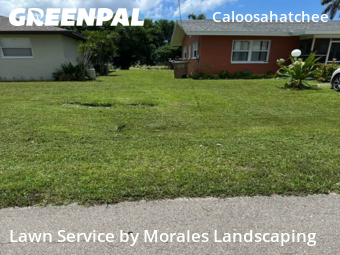 Lawn Maintenance nearby Cape Coral, FL, 