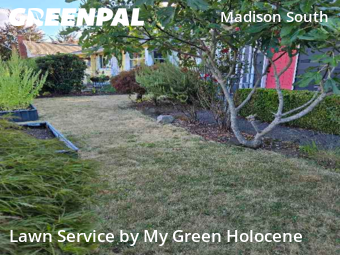 Grass Cut nearby Portland, OR, 