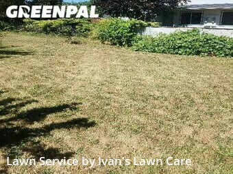 Lawn Cutting nearby Albany, OR, 
