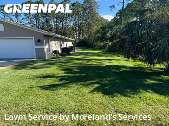 Grass Cut nearby Palm Coast, FL, 