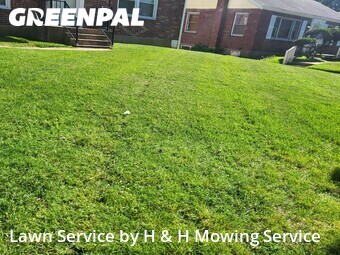 Lawn Mow nearby University City, MO, 