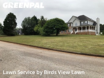 Grass Cut nearby Ellenwood, GA, 