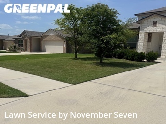 Grass Cut nearby Round Rock, TX, 