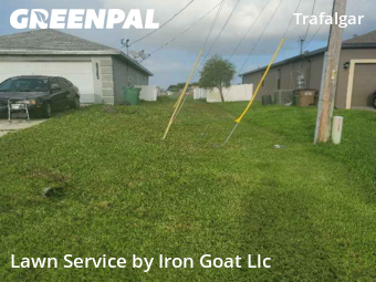 Grass Cut nearby Cape Coral, FL, 
