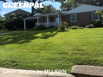 Yard Cutting nearby Webster Groves, MO, 