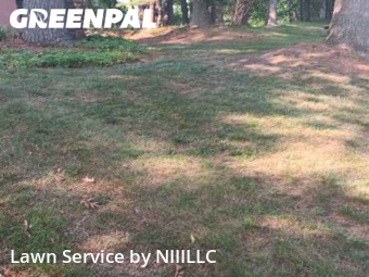 Yard Services in Norton Shores, 49441, Weed Trimming by NIIILLC, work completed in Nov , 2025