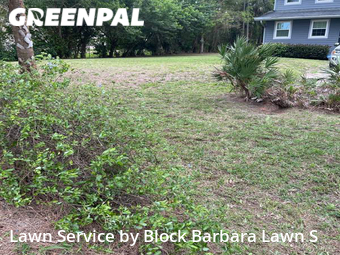Grass Cut nearby Lake Worth, FL, 
