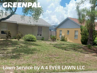 Lawn Mow nearby New Port Richey, FL, 