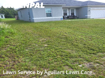 Lawn Cut nearby Ocala, FL, 