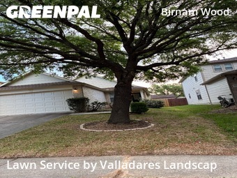 Lawn Maintenance nearby Spring, TX, 