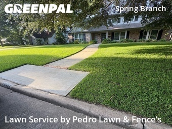 Landscapers In Houston,77079,Landscaping Services by Pedro Lawn & Fence’s, work completed in Jun , 2026