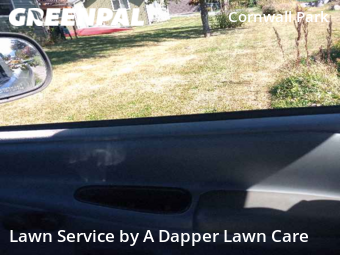 Grass Cut nearby Bellingham, WA, 